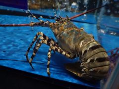 -庆赫隆融合菜馆(群力店)