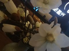 -新盈光·心院(嘉恒广场店)