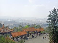 -铁山坪森林公园