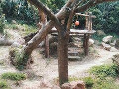 -宁波野生动物园