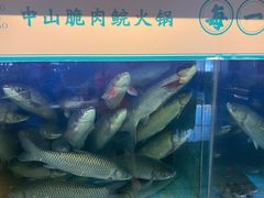 -淘米捞·米汤脆鲩鱼火锅(福田皇岗店)