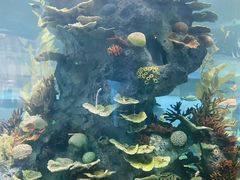 -福州罗源湾海洋世界旅游区