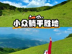 -大姆山草场