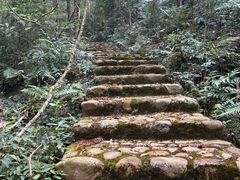 -广州市石门国家森林公园