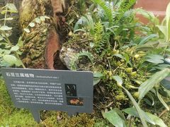 -国家植物园南园