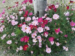 -牛岗山公园