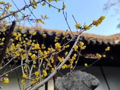 -同得兴 Since·1995 传统苏式面馆(嘉馀坊店)