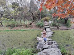 -贡湖湾湿地公园