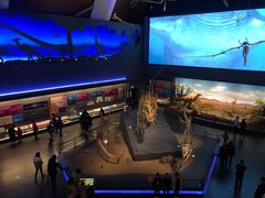 -贝林大翅鲸简餐厅(国家海洋博物馆店)