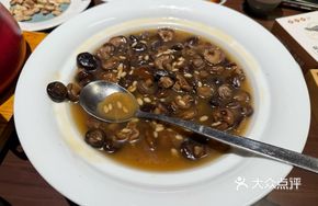 Tea Oil Wild Small Mushrooms