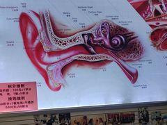 -自然之声助听器(平凉店)