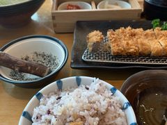 -胜博殿日式炸猪排(西红门店)