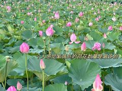 -云龙湖旅游景区