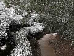 -西湖风景区十里琅珰-五云山