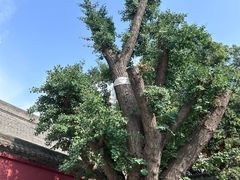 -西安市广仁寺