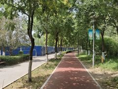 -大兴滨河森林公园