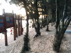 -马銮湾景区