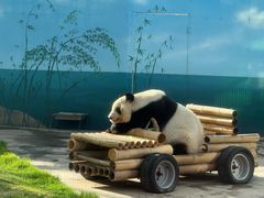 -鄂尔多斯野生动物园