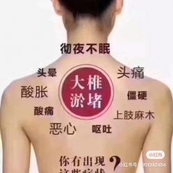 -香薇妮丝·定制减肥·身材管理