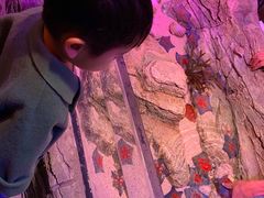 -沈阳海洋探索中心