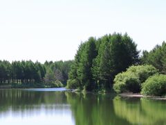 -塞罕坝国家级自然保护区