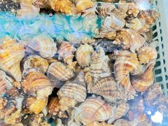 -江杨农产品批发市场