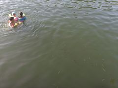 -紫霞湖公园