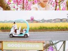 -中国天府农业博览园