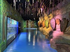 -海合安成都极地海洋公园