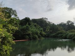 -花溪公园