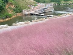 -观澜山水田园