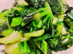黄山油冬青-徽韵人家·传承正宗徽菜(牡丹园店)