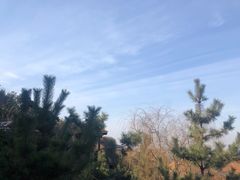 -徂徕山森林康养度假谷温泉