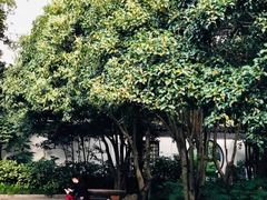-桂林公园(地铁站)