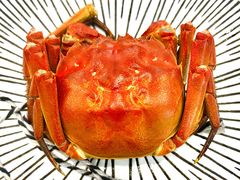 -蟹天蟹地农家菜·阳澄湖大闸蟹(浅水湾店)