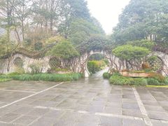 -龙井草堂