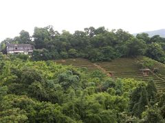 景点-东部华侨城