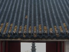 -狼山风景名胜区