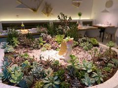 -春树下·树屋花房西餐厅(罍街AS1980店)