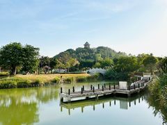 -王借岗森林公园