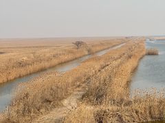 -盐城丹顶鹤湿地生态旅游区