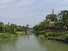 -王借岗森林公园