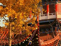 -皇罗禅寺