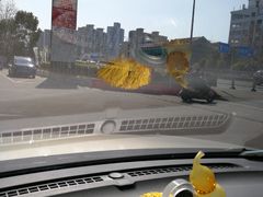-中国石油加油站(严桥路站)