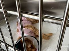 -艾贝尔宠物医院·24H转诊中心·肿瘤猫专科(江宁双龙店)