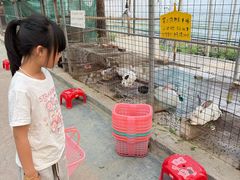 -新塘水果乐园(东洲大道店)