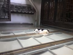 -猫的天空之城概念书店(杭州南宋御街店)