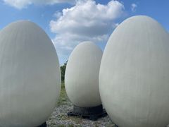 -清风小镇闯关东影视基地