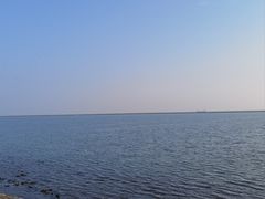 -碧海金沙