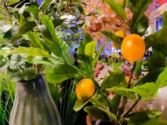 -LYFATTI 莱芙缇(赣水路店)